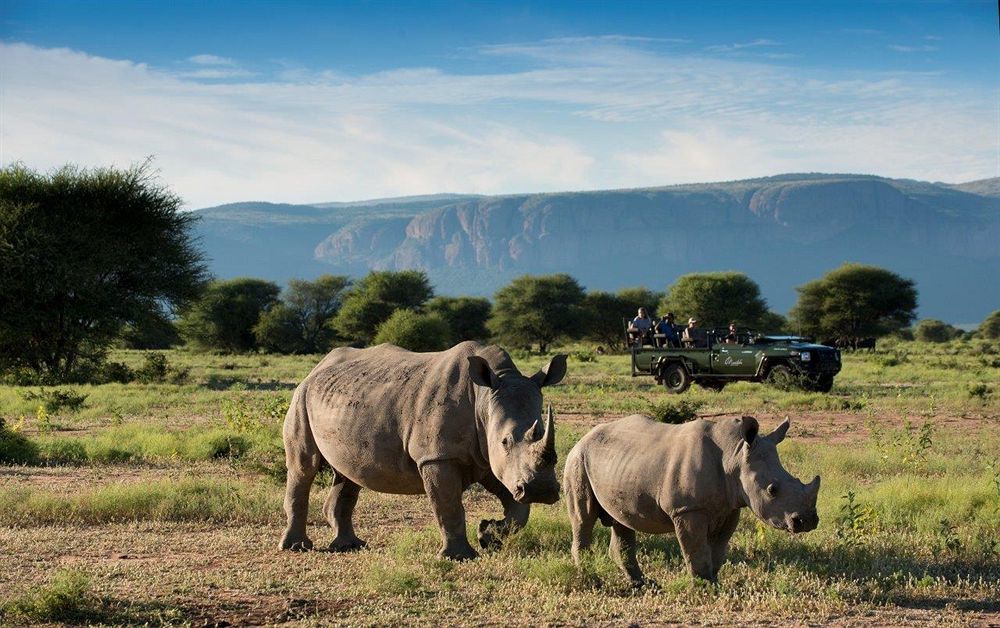 Marataba Safari Lodge Hartbeestfontein Exteriör bild